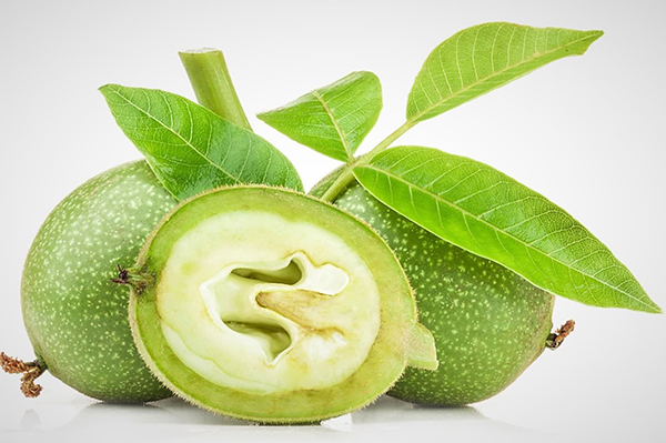 Nezralé ořechy na ořechovku