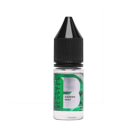 Aroma pro Flavour Blaster - MINT